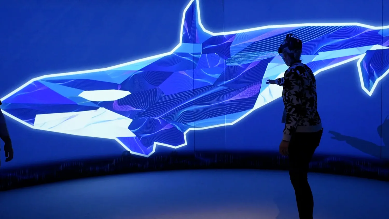 Visitor engages with a luminous visual representation of an orca
