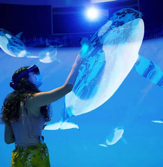 Visitor reaches toward a luminous augmented-reality orca in Critical Distance