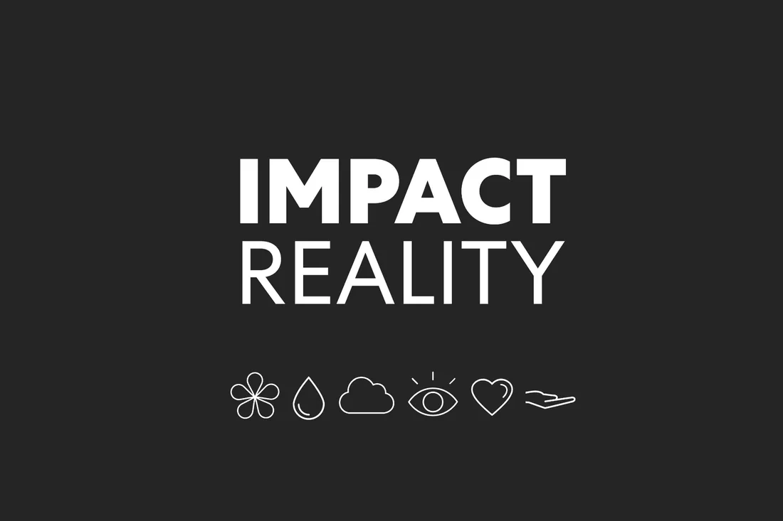 Impact Reality Summit project preview